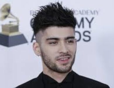 Zayn Malik Net Worth